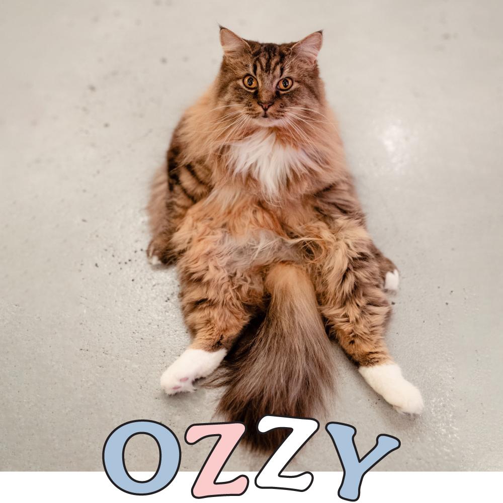 ozzy-resident of the month-1